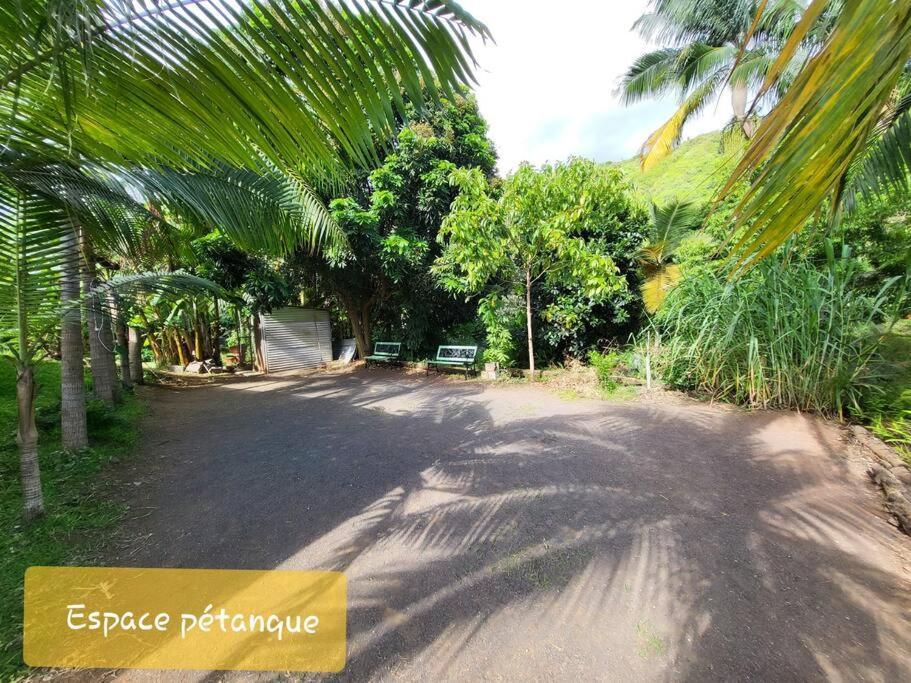 O Palmiste Rouge - Piscine Parking Jardin Petanque Centre Ville المظهر الخارجي الصورة